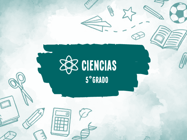5° Ciencias Naturales
