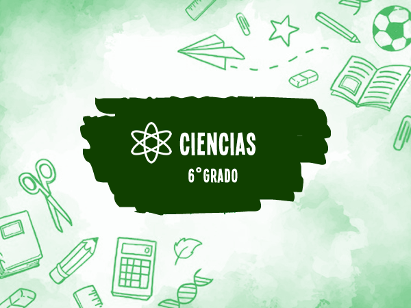 6° Ciencias Naturales