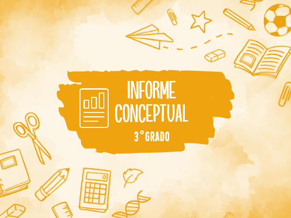 INFORME CONCEPTUAL