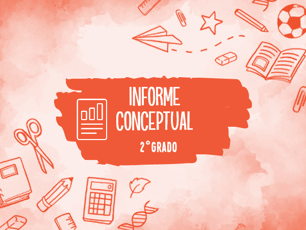INFORME CONCEPTUAL