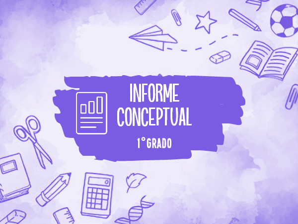 INFORME CONCEPTUAL