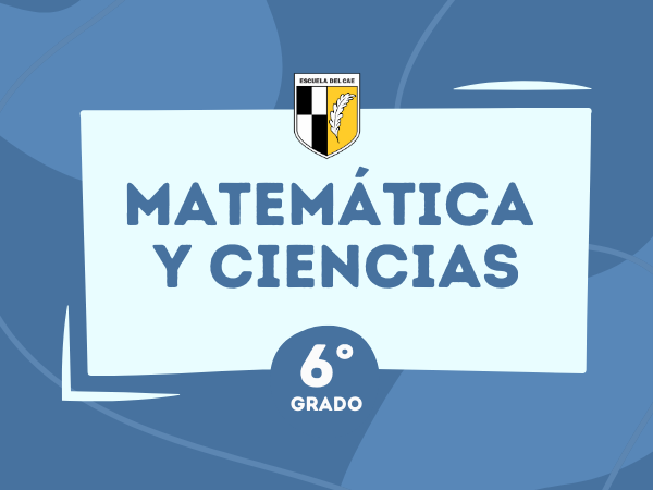 Matemática y Naturales 6° - 2024