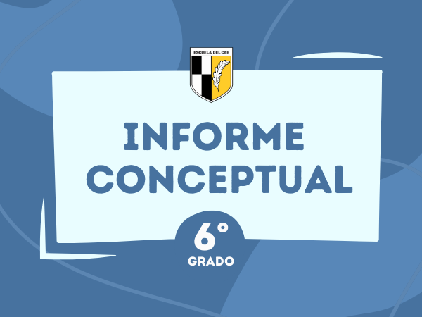 Informe Conceptual 6° - 2024